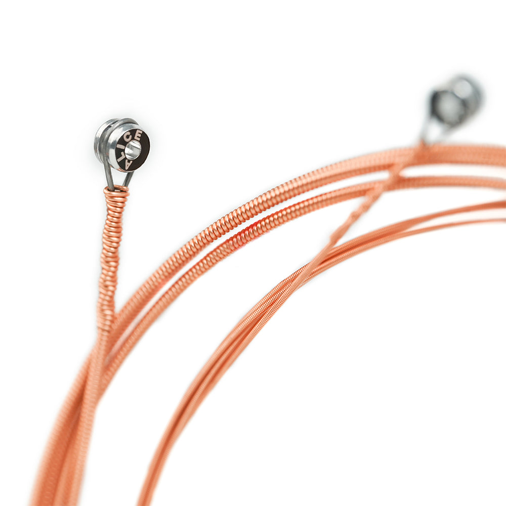 12-String Acoustic Folk Guitar Strings (A2012)