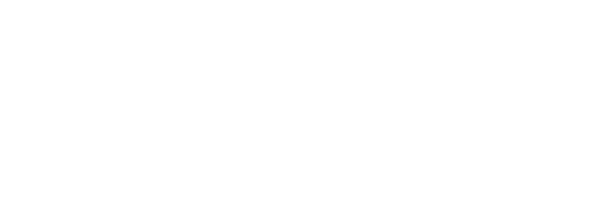 NipponAmerica logo
