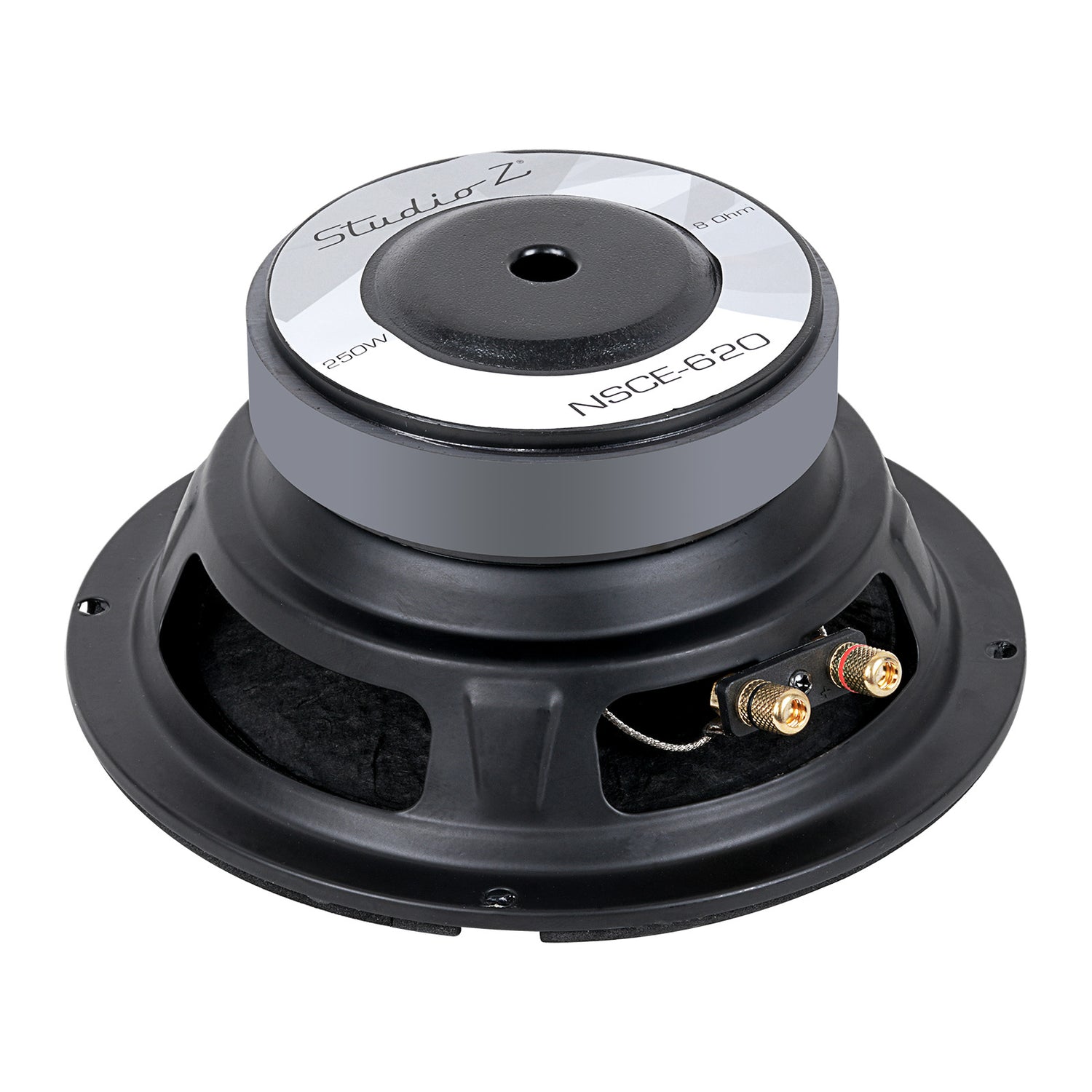 6” Woofer with 1” Aluminum Voice Coil (NSCE-620)