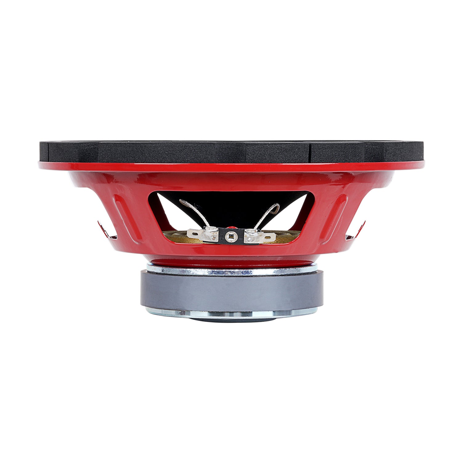 8” High-Powered Subwoofer (NWX-855)