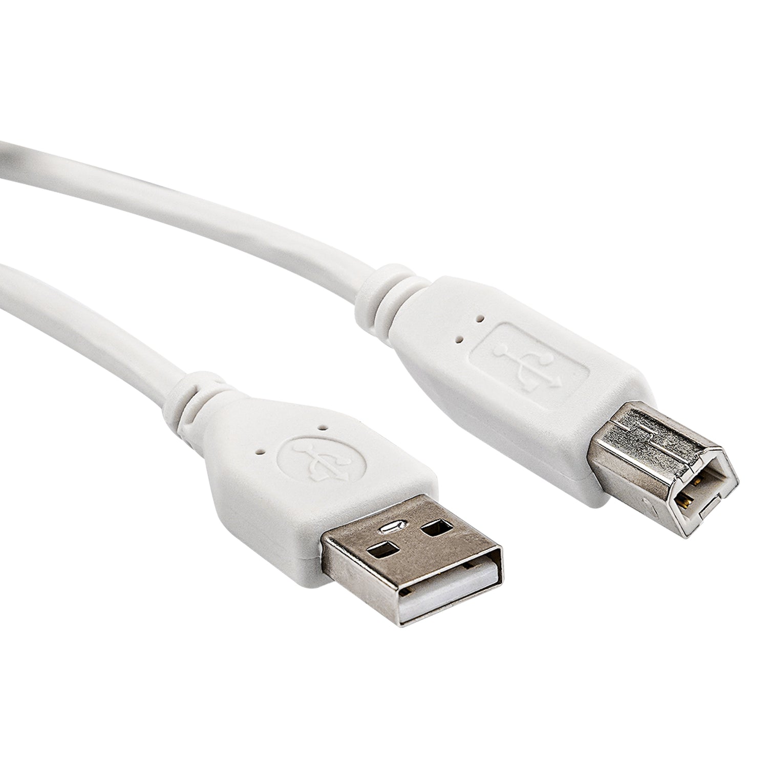 12Ft USB Cable AM to BM (DBV-IBM-A-B-12)
