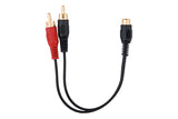 3.5mm Jack to 2 RCA Plugs (N-213G)