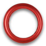 Foam Edge for 12" Speaker (NFER-12-294)