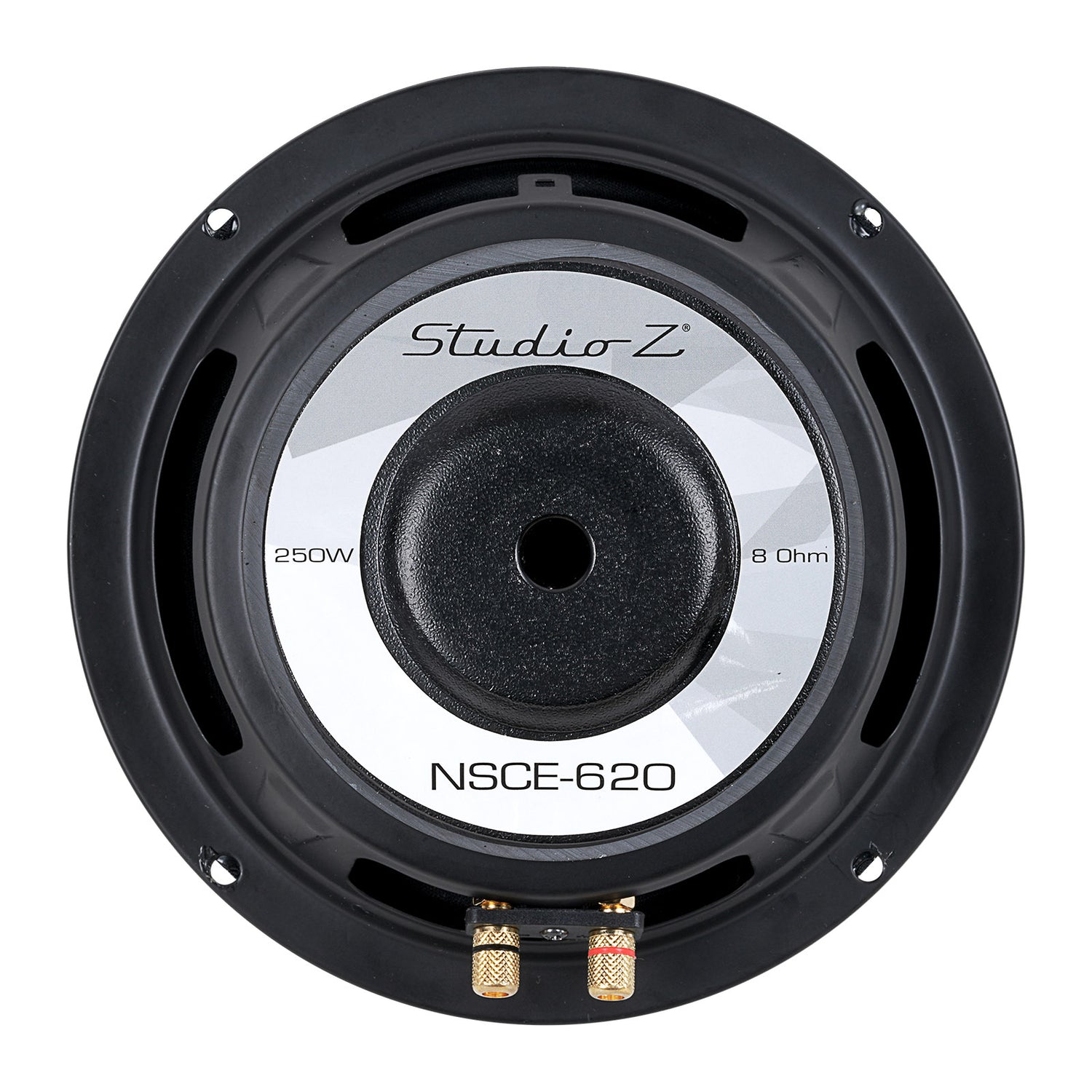 6” Woofer with 1” Aluminum Voice Coil (NSCE-620)