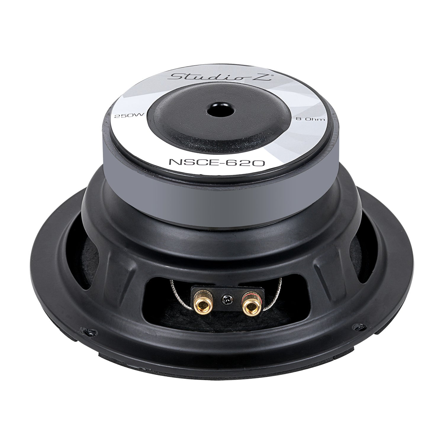 6” Woofer with 1” Aluminum Voice Coil (NSCE-620)