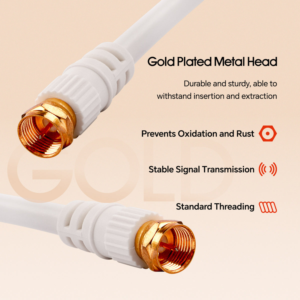 25' Video Cable with 