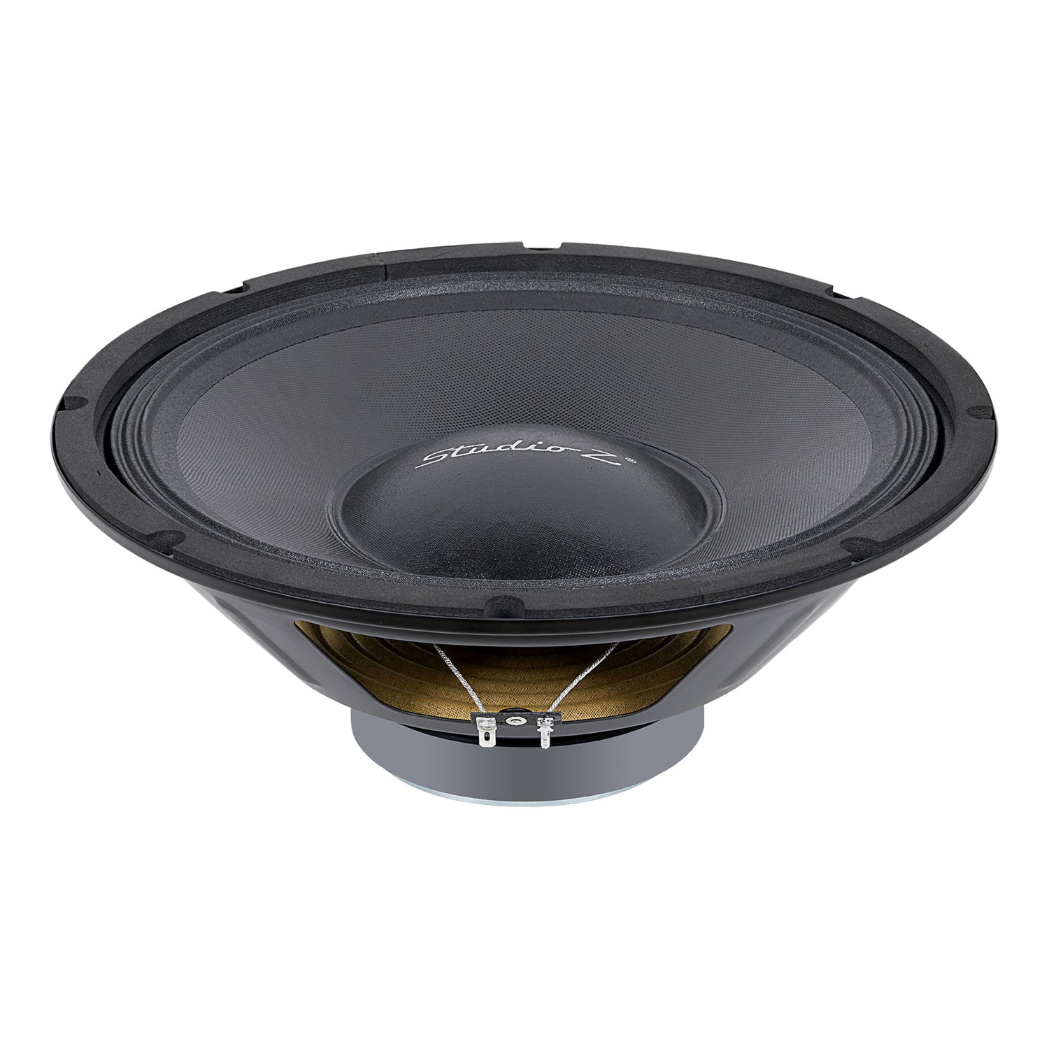 12” Woofer with 2” ASV Voice Coil (STX-1248)