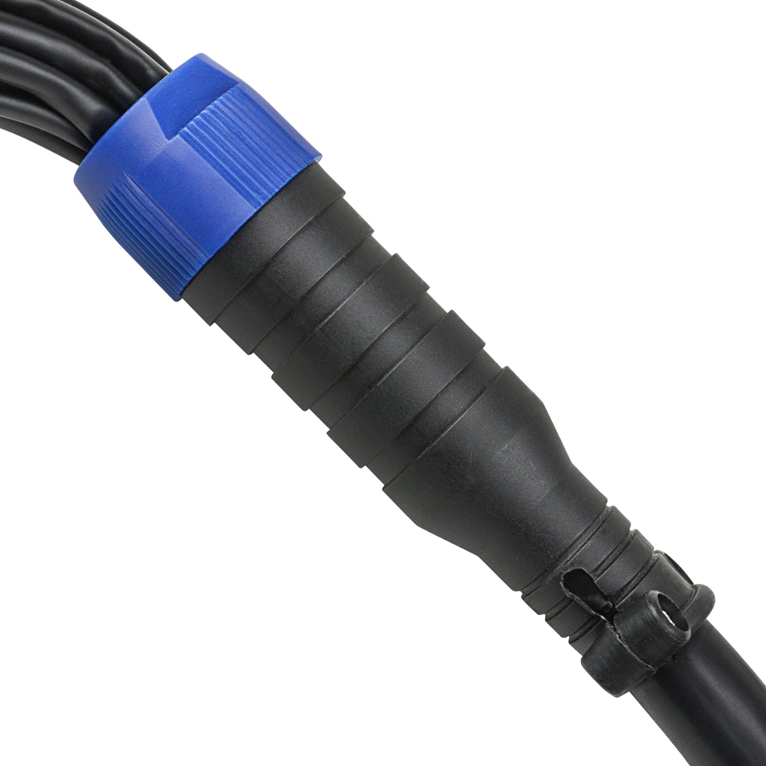 30' 12 Channel XLR Snake Cable (ZMT-12S-TB30)